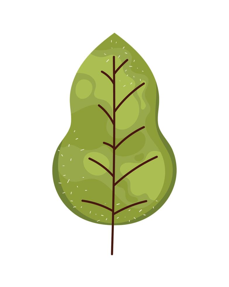 follaje de la planta de hoja vector