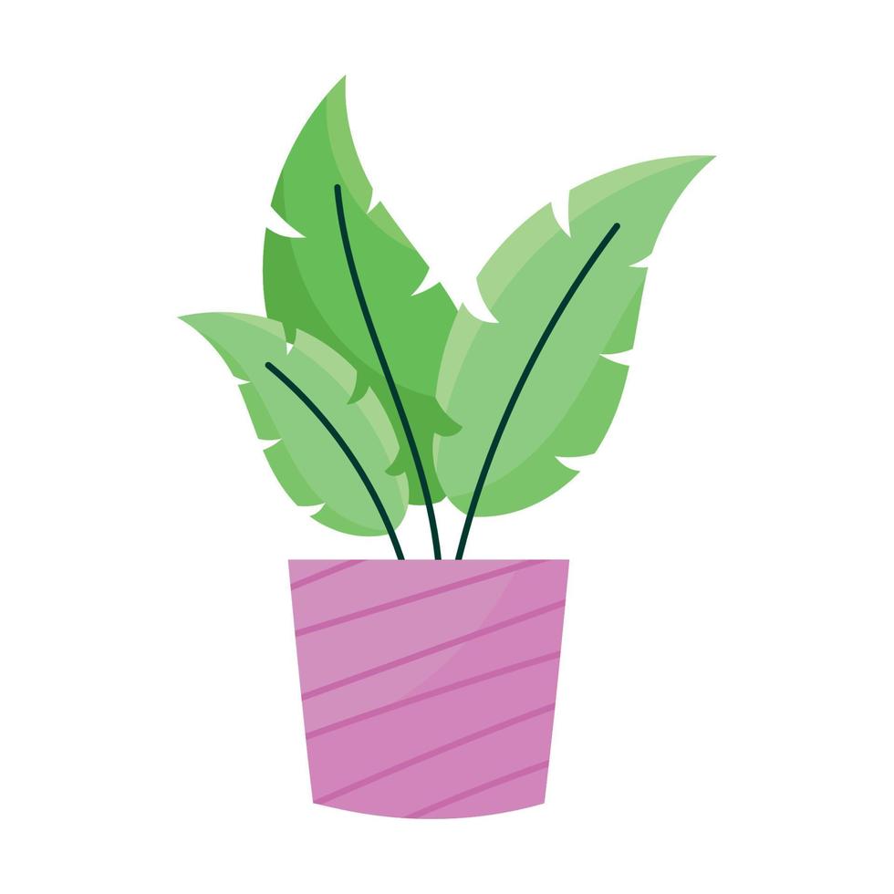 planta de interior en maceta color lila vector