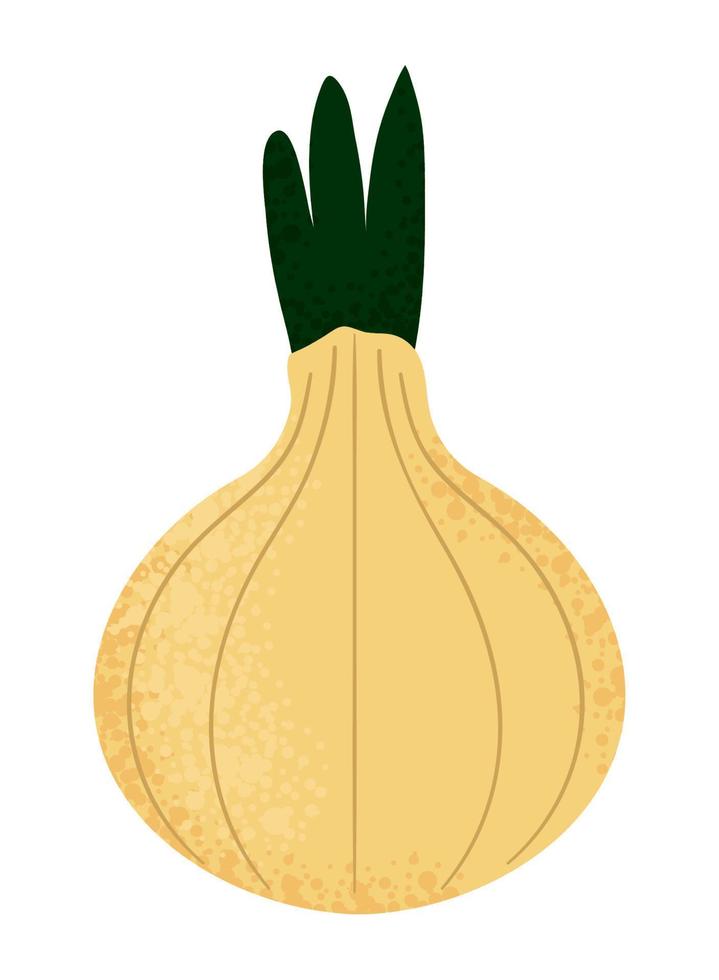 icono de vegetales de cebolla vector