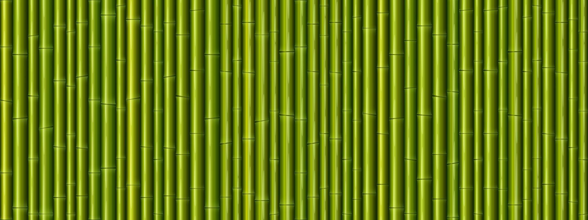 patrón sin costuras de textura de pared de bambú vector