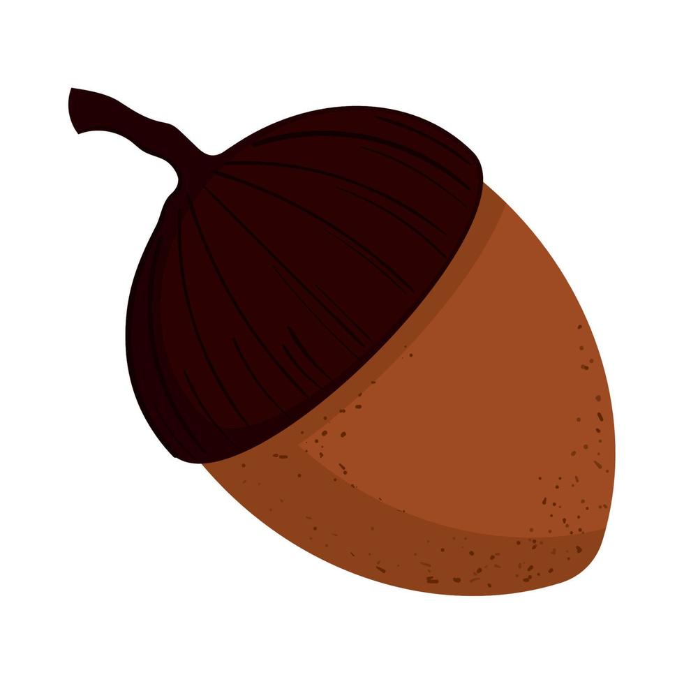 acorn nut icon vector