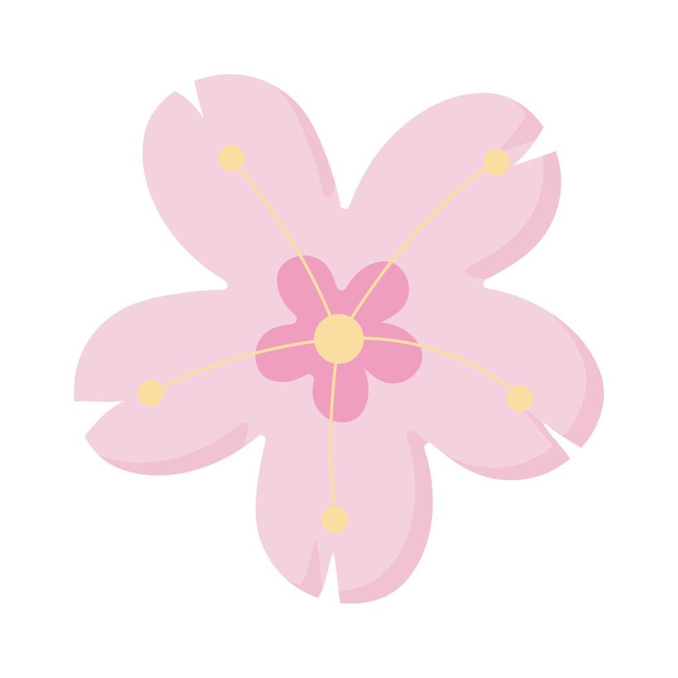 japanese cherry flower vector