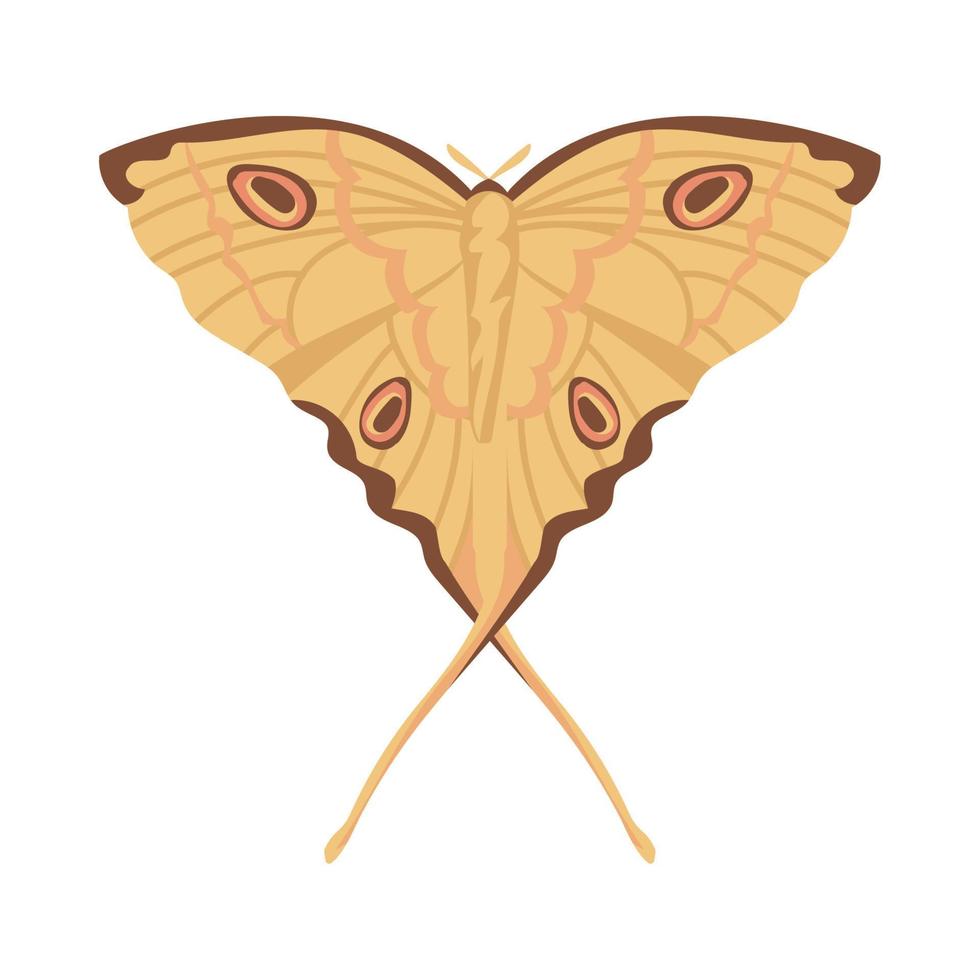 animal mariposa plana vector