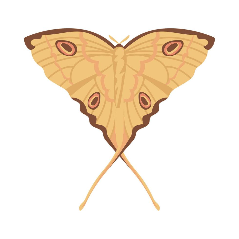 Flat Butterfly animal vector