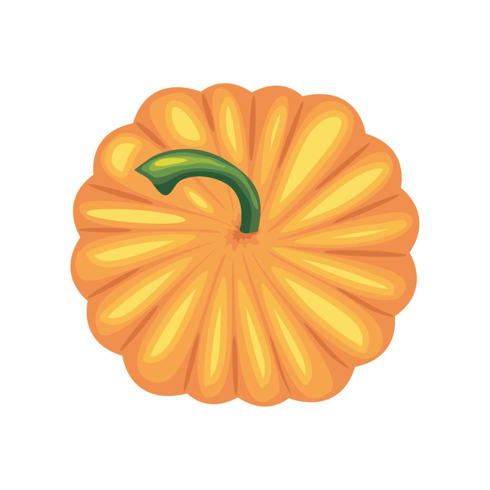 pumpkin vegetable icon vector