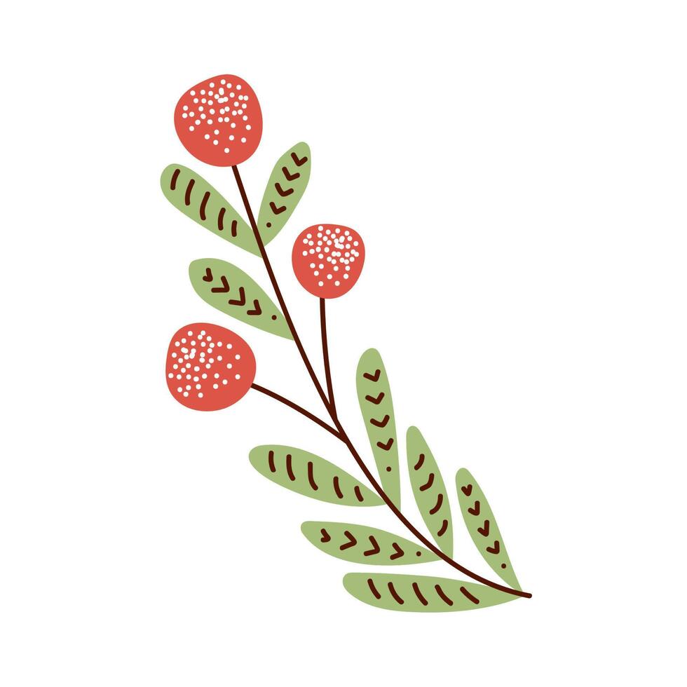 branch with leafs and seeds vector