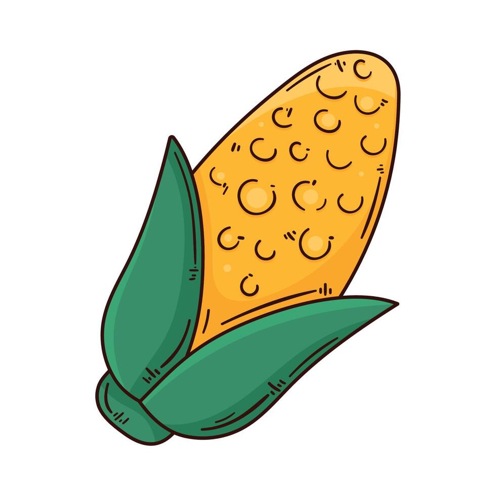 corn cob fresh vegetable vector