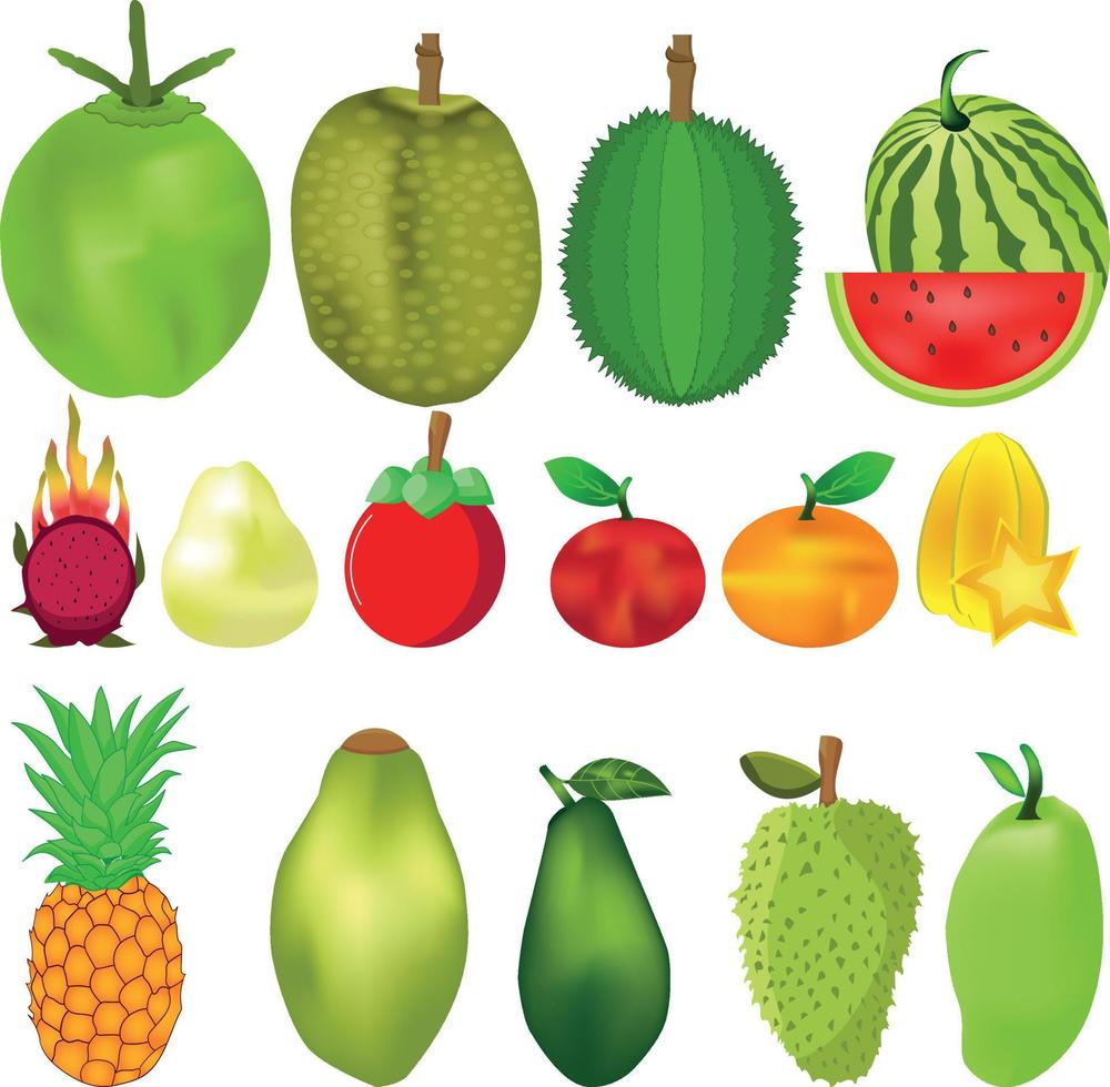 colección de vectores de fruta fresca y saludable