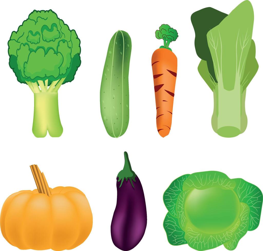 verduras sanas y frescas, vector realista