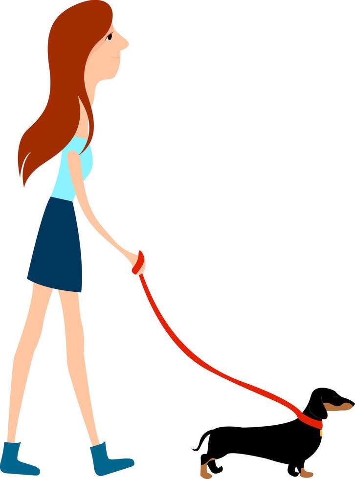 Girl walking dog, illustration, vector on white background.