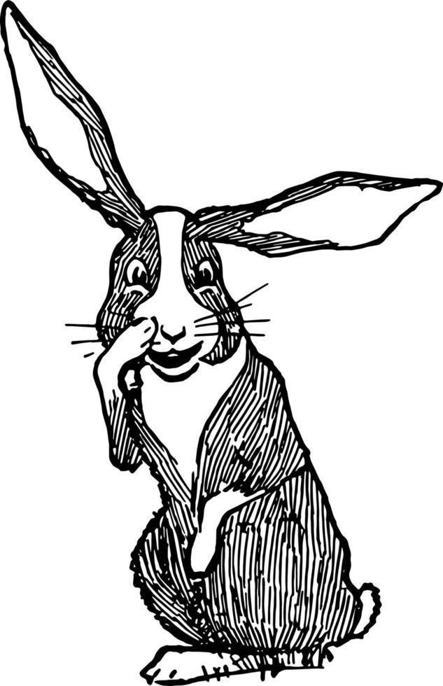 Rabbit Scratching Nose vintage illustration vector