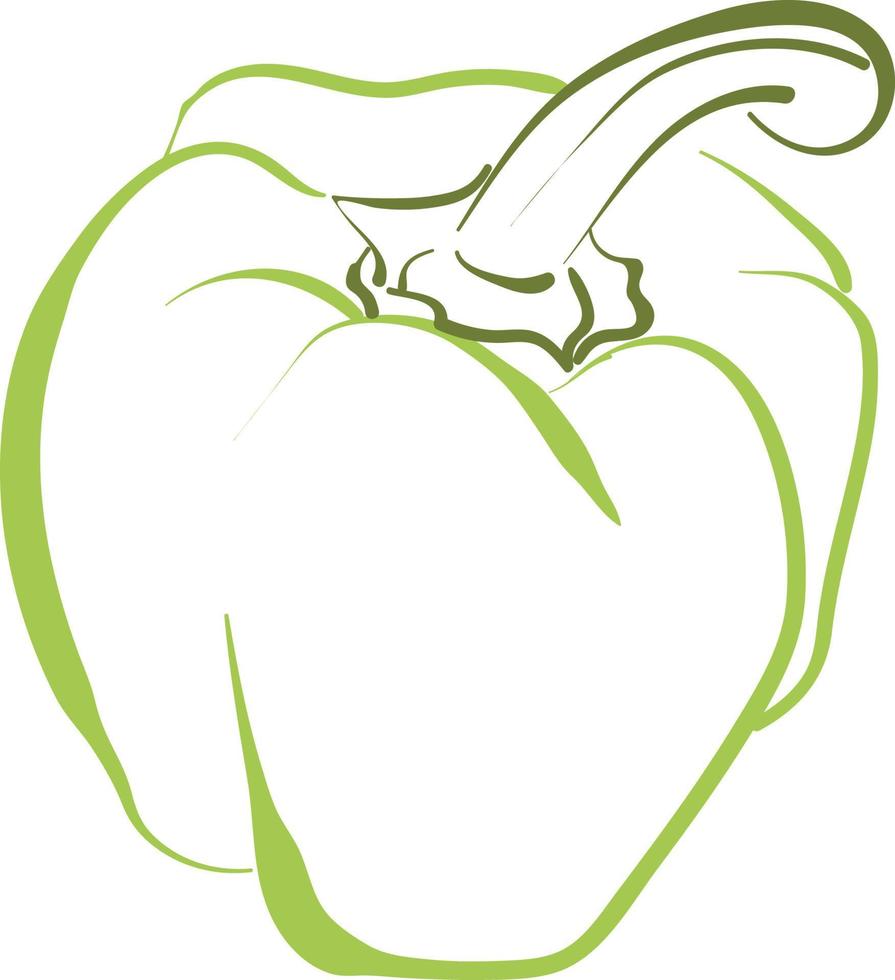 Green pepper drawing, illustration, vector on white background.