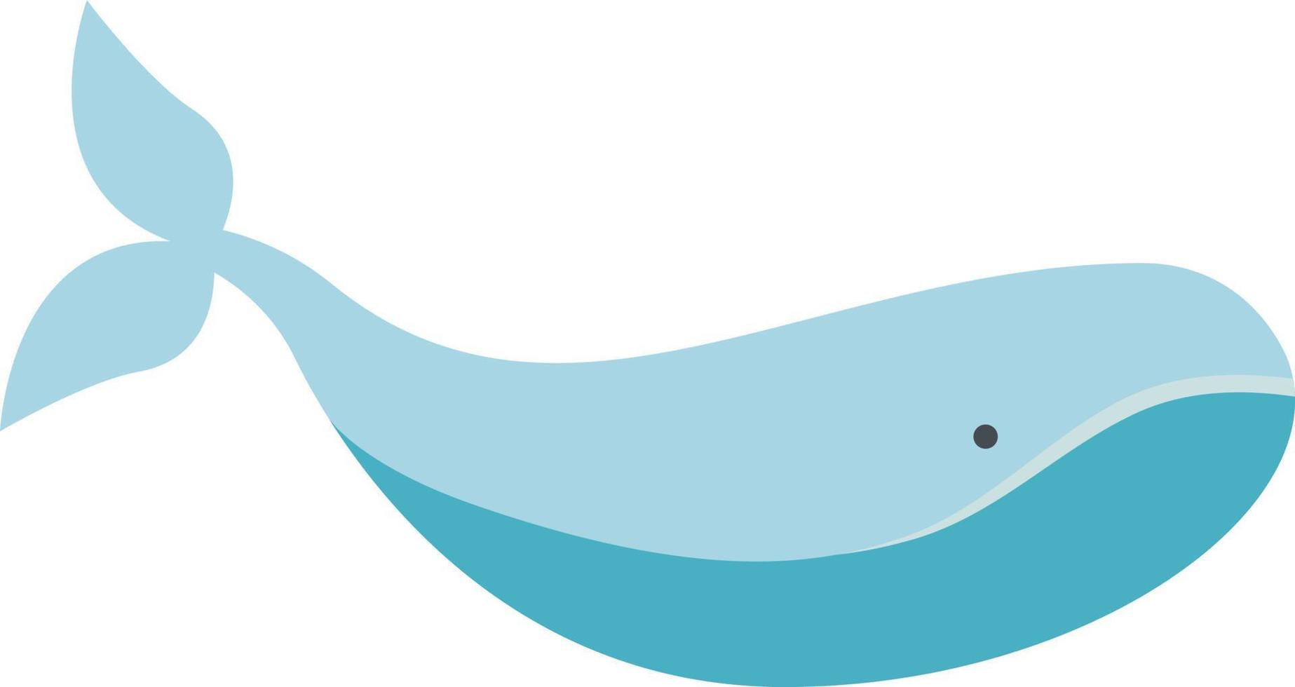 gran ballena azul, ilustración, vector sobre fondo blanco.