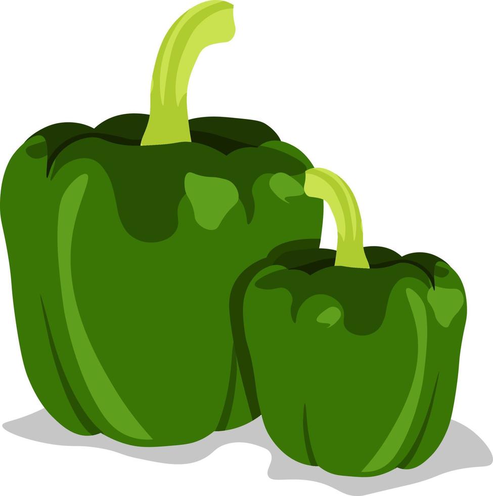 Green capsicum, illustration, vector on white background