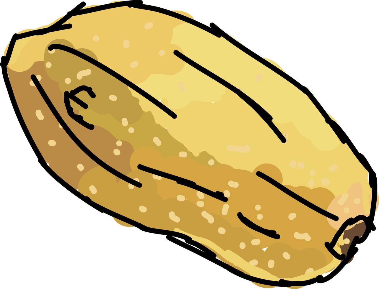 Fresh papaya, illustration, vector on white background.