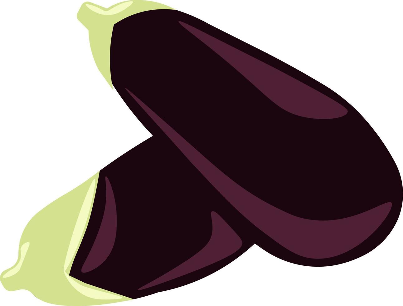 Eggplant, illustration, vector on white background.