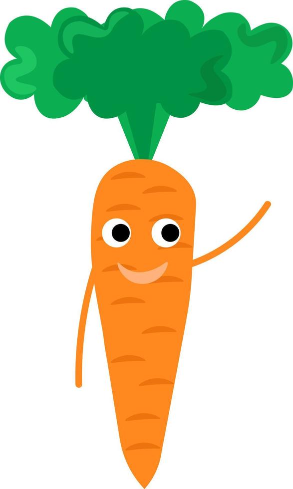 Zanahoria fresca, ilustración, vector sobre fondo blanco.
