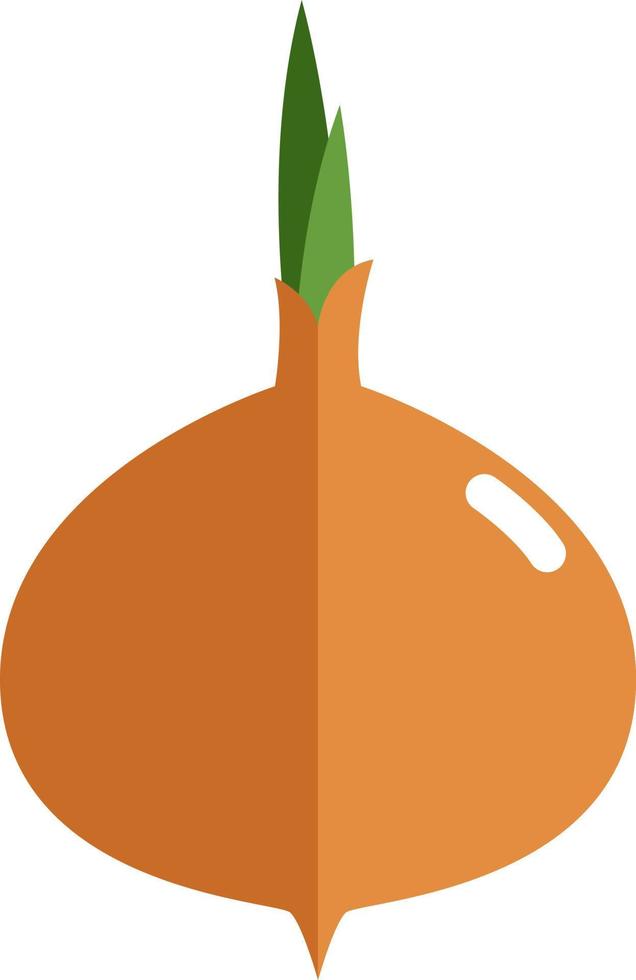 Golden onion, illustration, vector on white background.