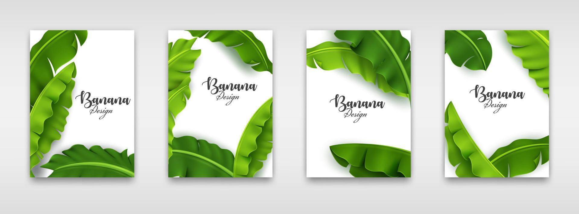 invitación de hojas de plátano, plantilla de hoja tropical verde, invitación de boda, folleto gráfico. ilustración vectorial vector