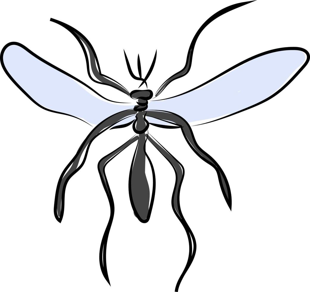 mosquito grande, ilustración, vector sobre fondo blanco.