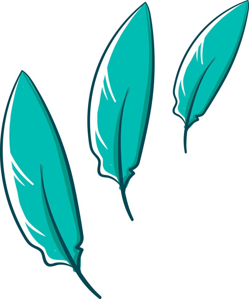 plumas azules, ilustración, vector sobre fondo blanco.