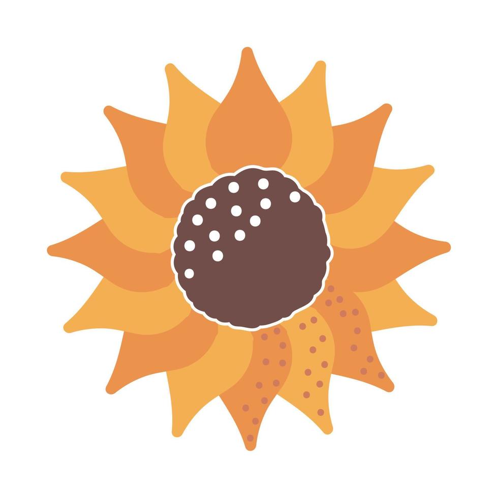 sunflower nature icon vector