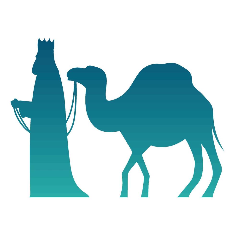 wise king with camel vector