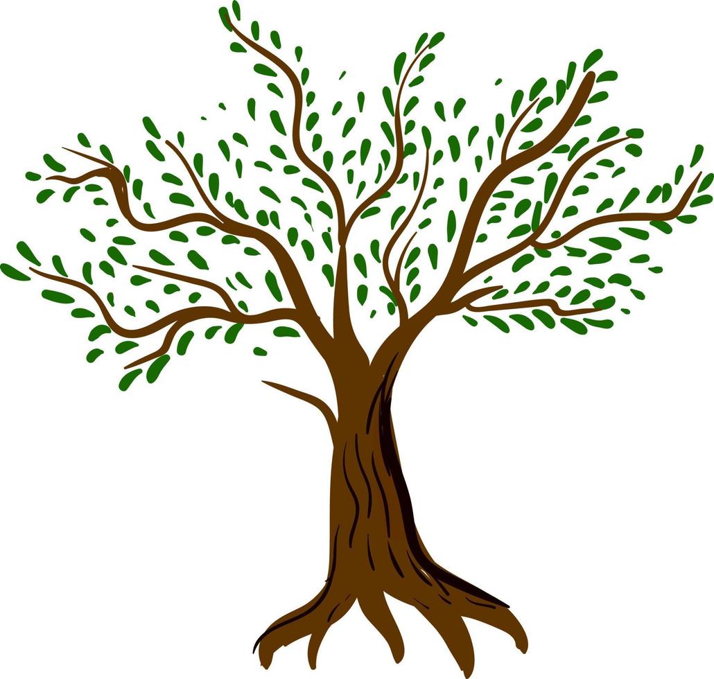Tree with leaves, illustration, vector on white background.