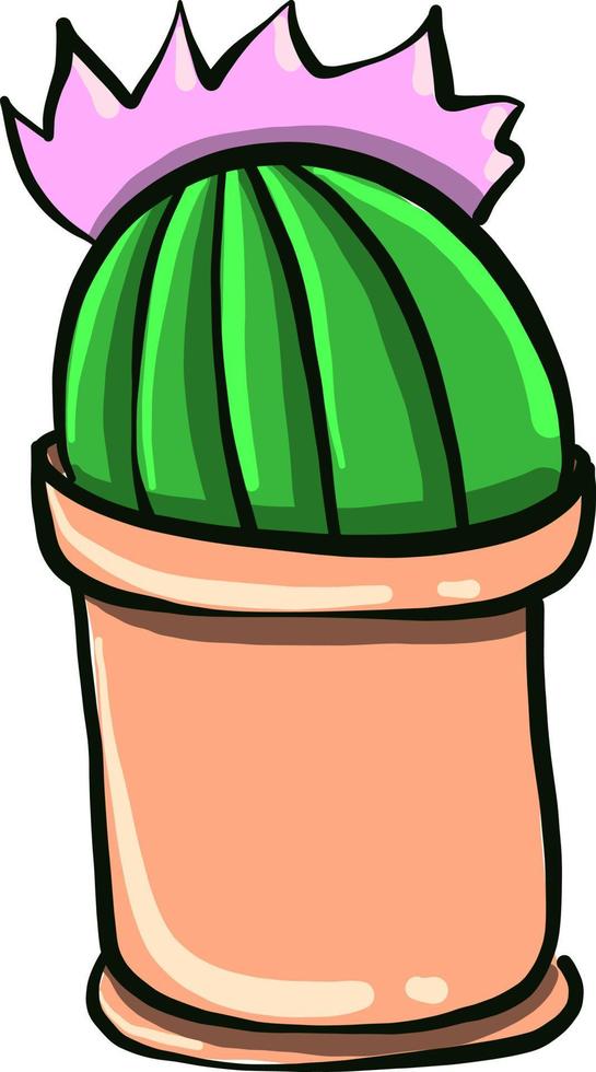 Cactus with a flower,illustration,vector on white background vector