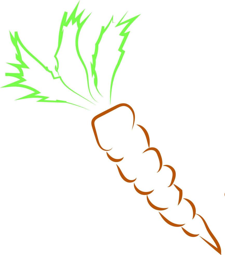 Big carrot drawing, illustration, vector on white background.