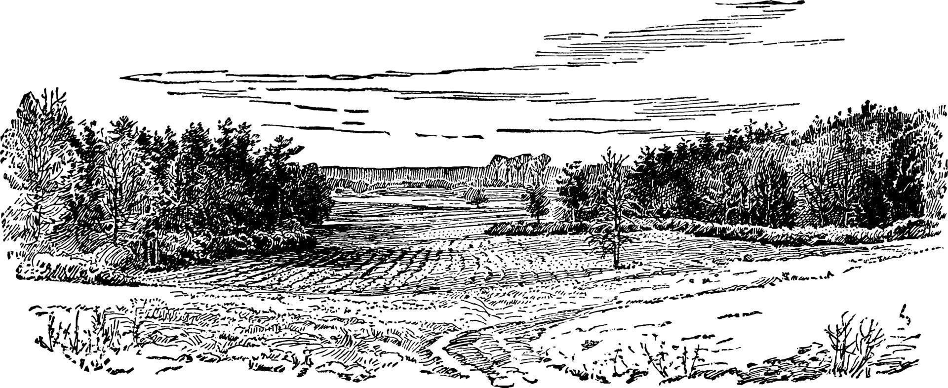 Bloody Angle of Spotsylvania, vintage illustration. vector