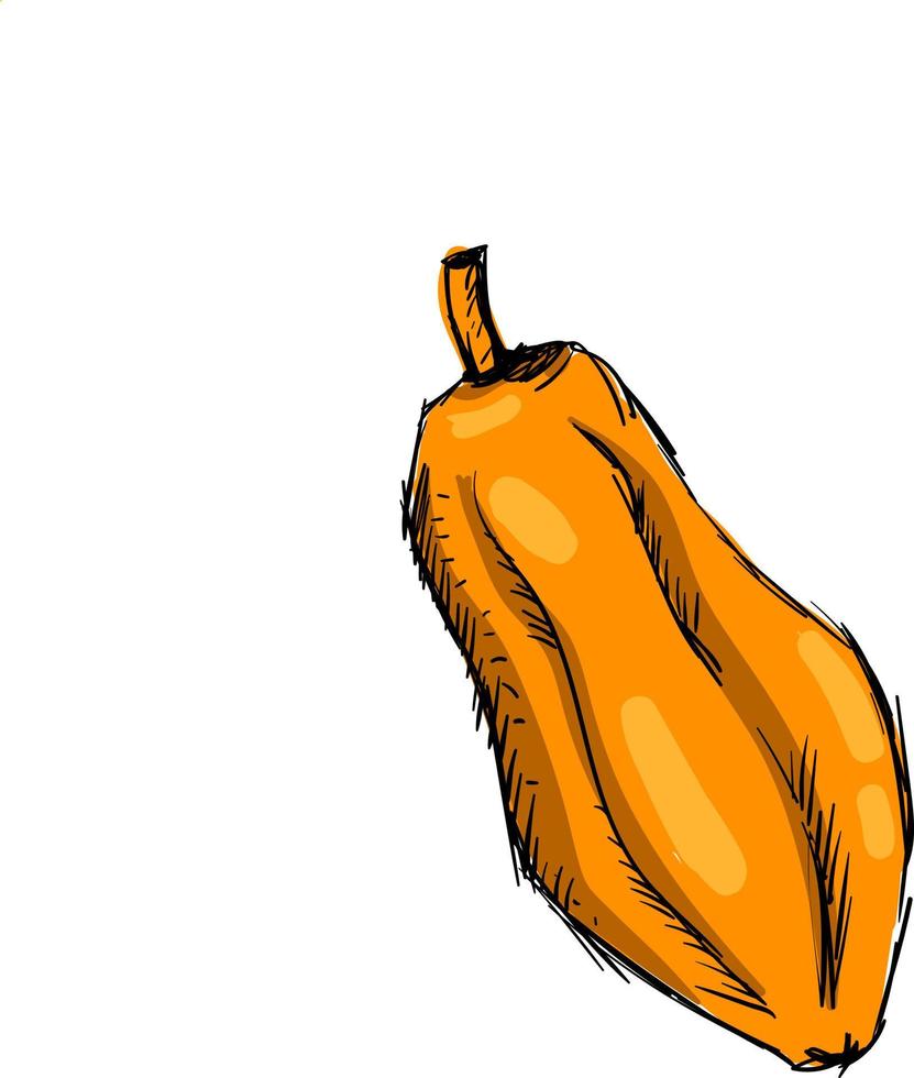 Papaya sketch, illustration, vector on white background.