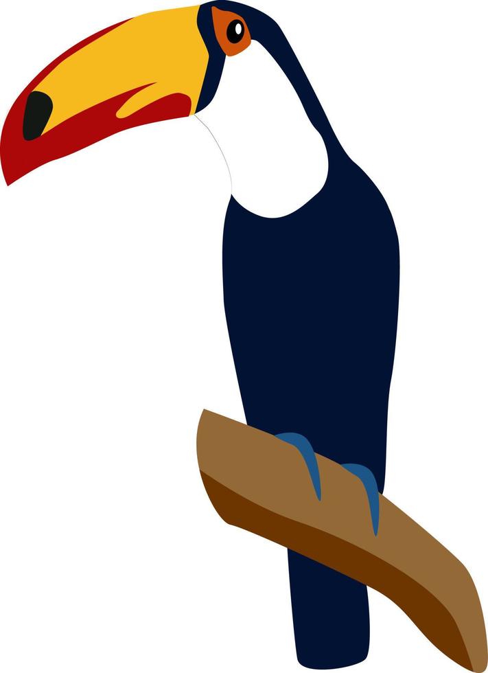 Tucan bird, illustration, vector on white background.