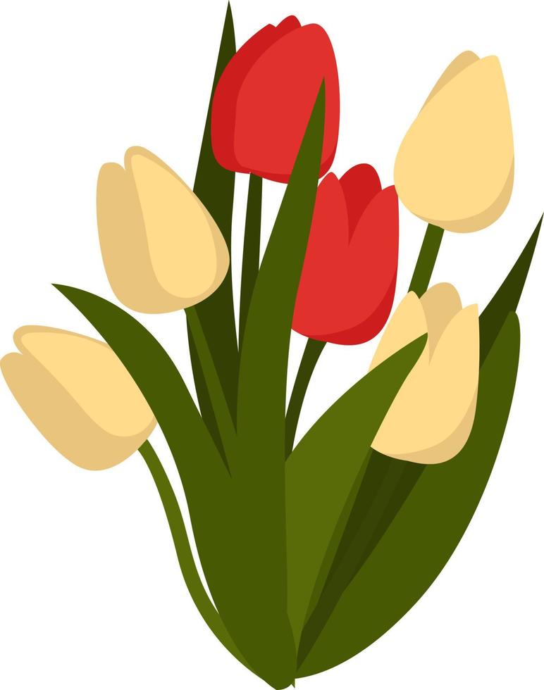 Poppy flowers, illustration, vector on white background