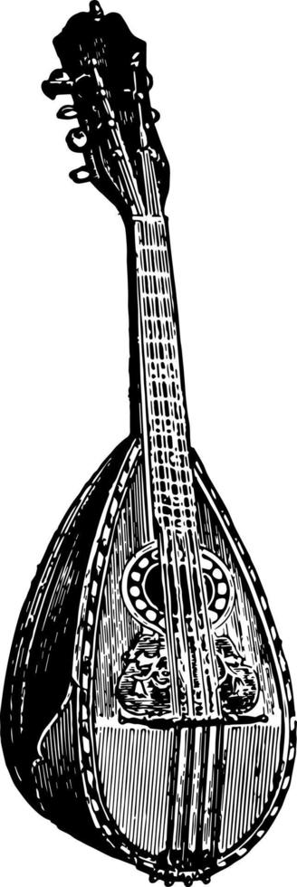 Mandolin, vintage illustration. vector