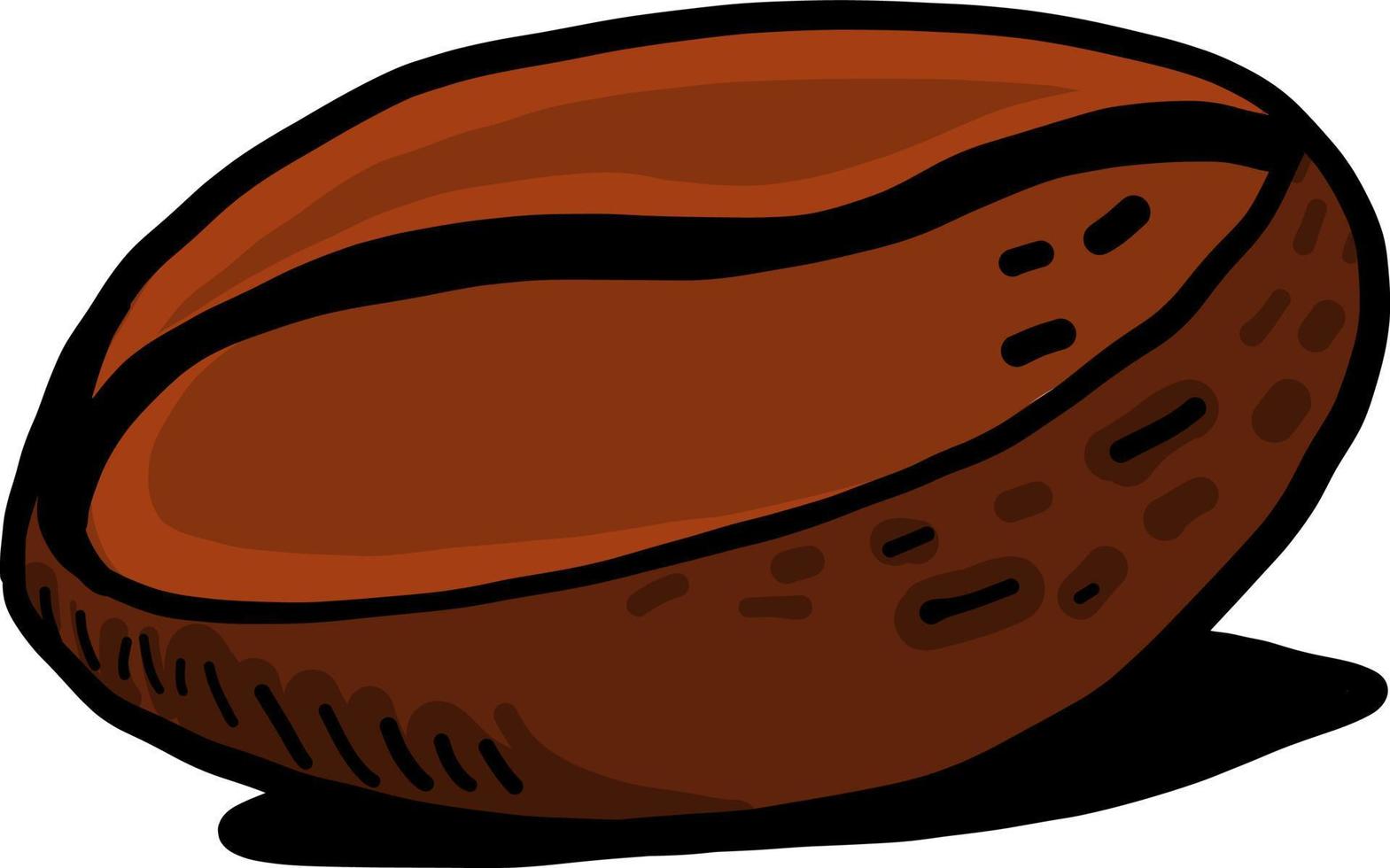 Coffee bean, illustration, vector on white background