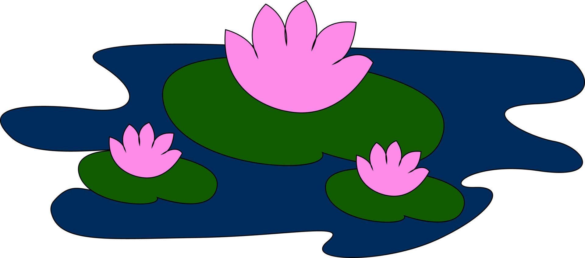 Water lilies, illustration, vector on white background