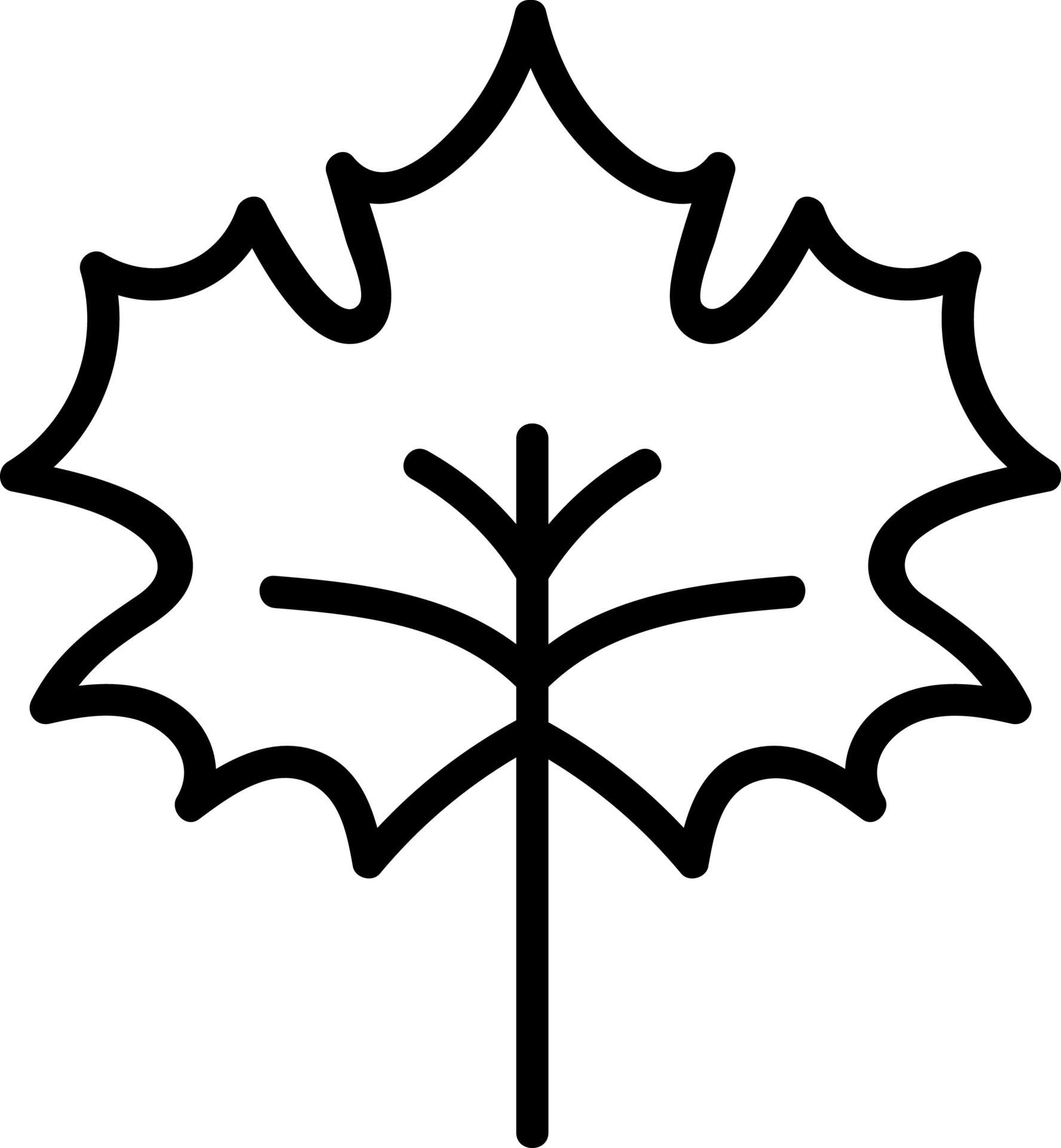 Canadian leaf, illustration, vector on white background. 13818641