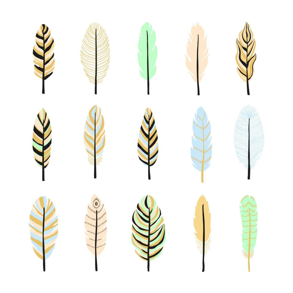 Collection of boho feathers. vector