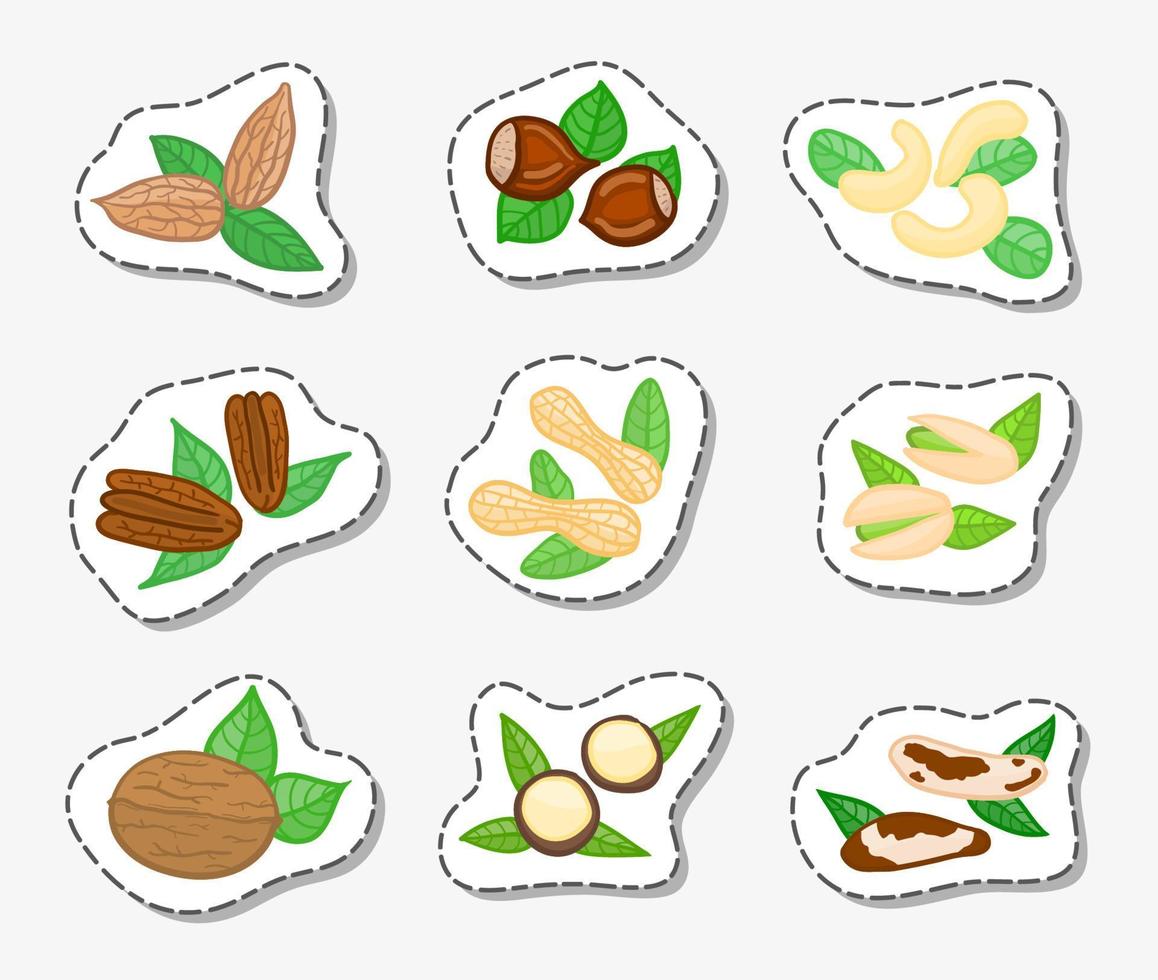 Stickers with doodle nuts. vector