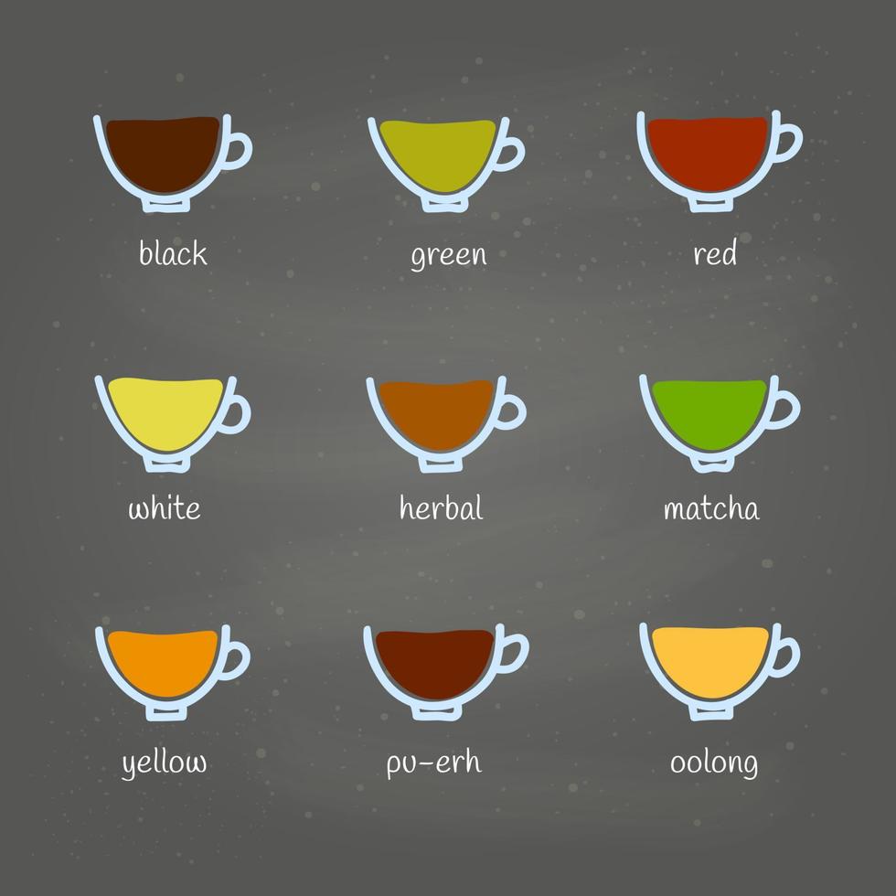 Different kinds of tea doodle. vector