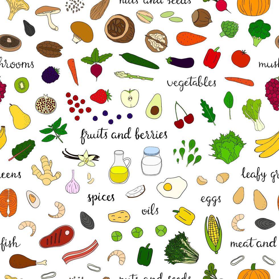 Seamless pattern with paleo diet foods. vector