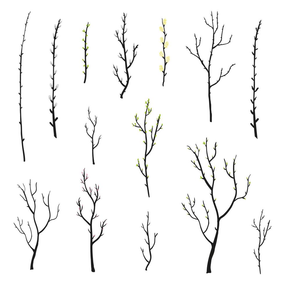 Doodle spring twigs set. vector