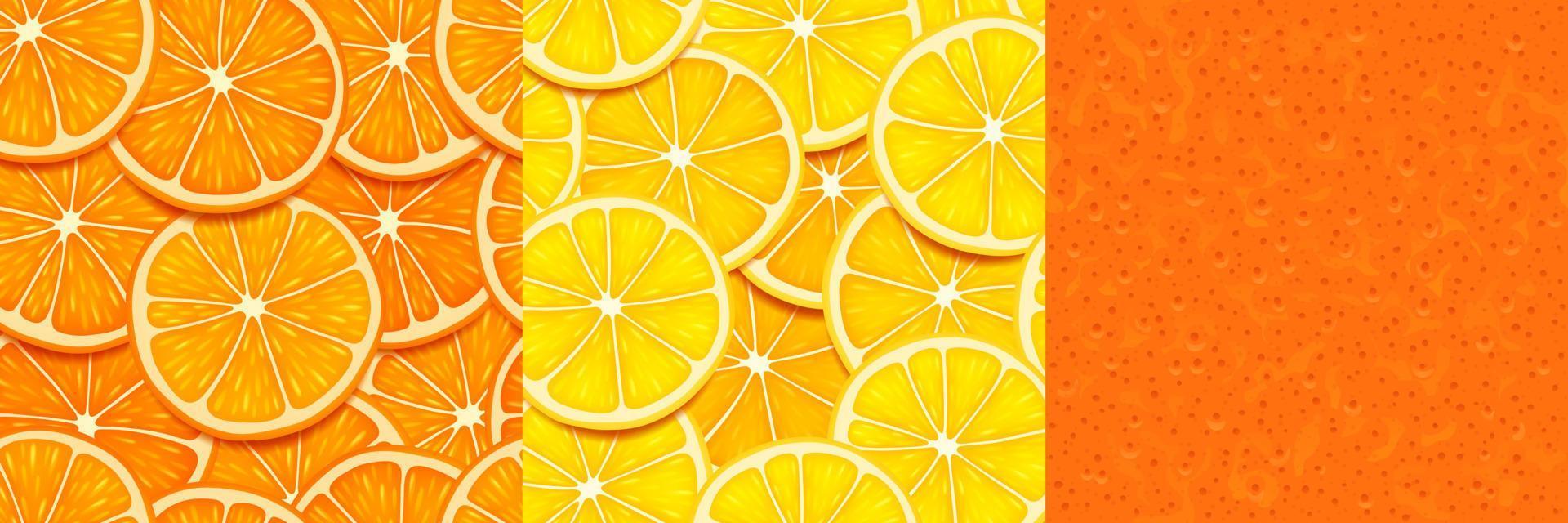 Textures of orange, lemon slices and peel vector