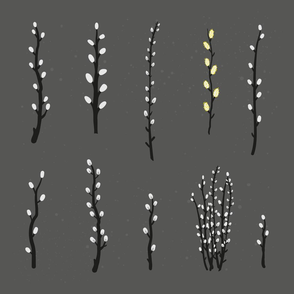 Collection of pussy willow branches. vector