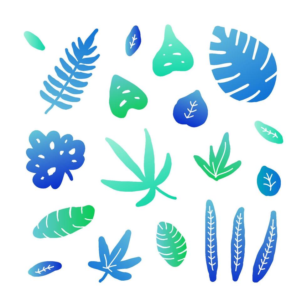 Set of doodle jungle leaves. vector