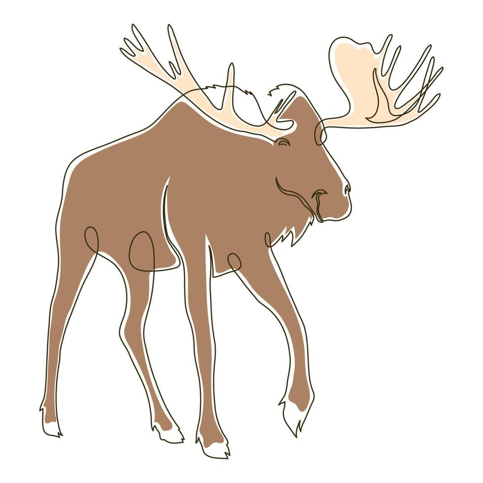 wild moose color drawn vector