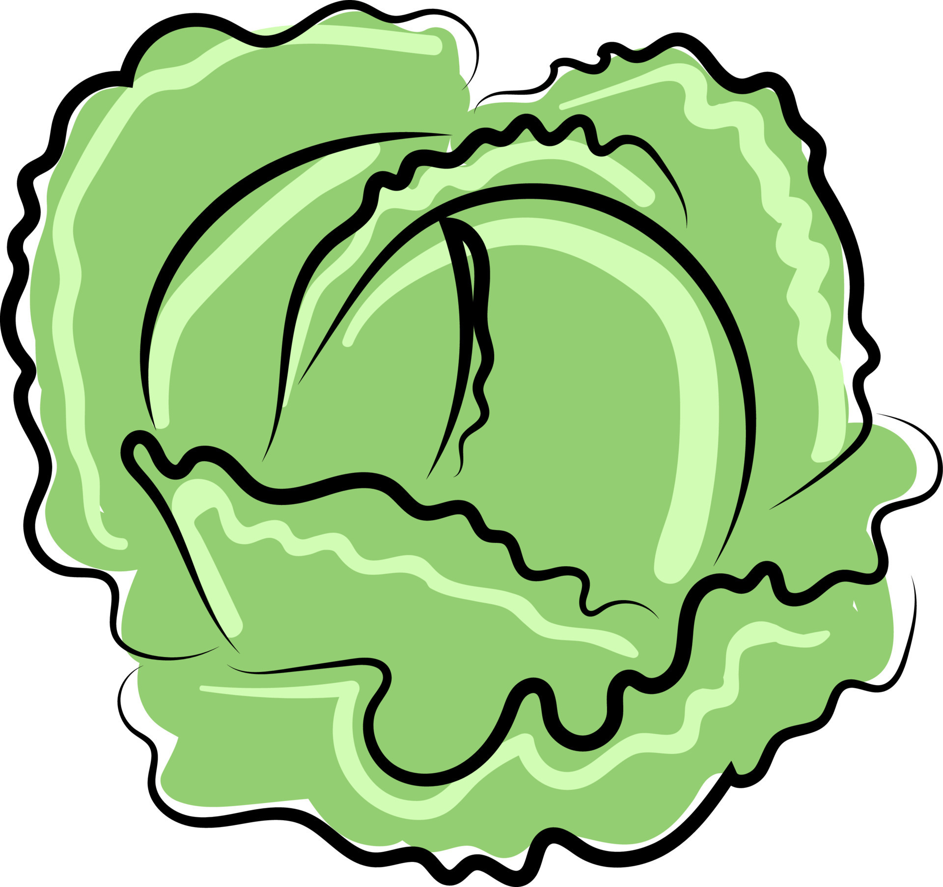 Fresh Cabbage Illustration Vector On White Background 13820085 Fresh Cabbage Illustration Vector On White Background 13820085