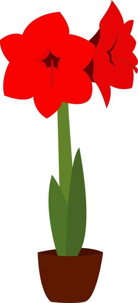 Red flower, illustration, vector on white background.