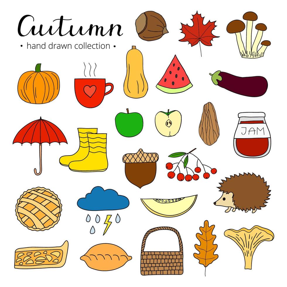 Hand drawn autumn items set. vector